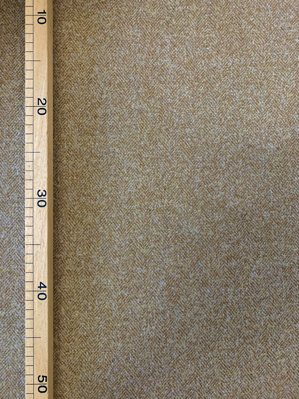 Lane 2 - immagine 2