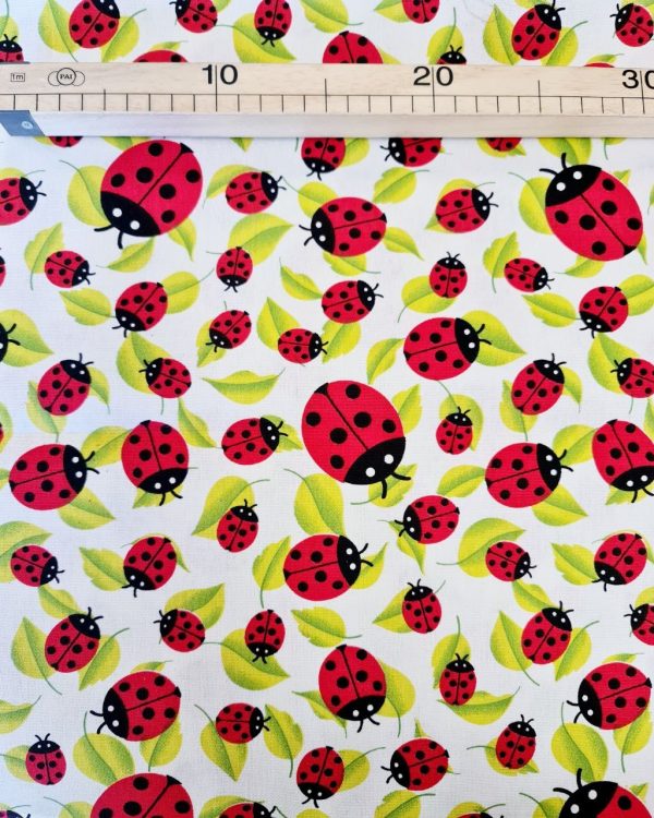 Tovsaglia coccinelle - immagine 2