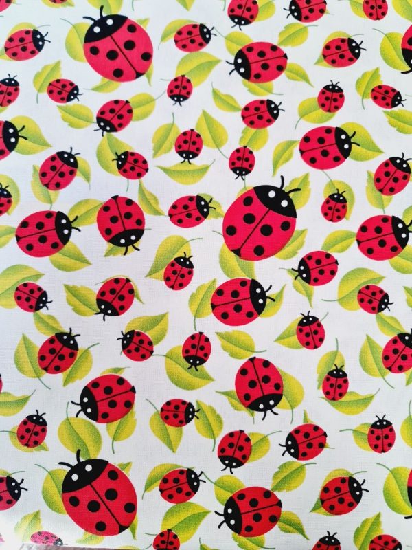 Tovsaglia coccinelle